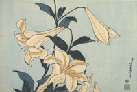 Série des Grandes Fleurs Lys, 1833-1834, Impression polychrome (nishiki-e), format ôban Editeur : Eijudô, Série des Grandes Fleurs Lys, 1833-1834, Impression polychrome (nishiki-e), format ôban Editeur : Eijudô,